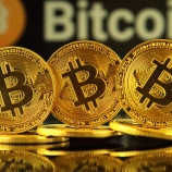 『【朗報】ビットコイン保有者、世界中で増えまくる』の画像