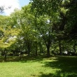 白つづじ公園（松ケ池公園）