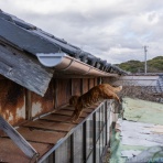 猫写真家・沖 昌之のブログ　野良ねこちゃんねる。　