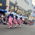 横浜 彩華連（神奈川県横浜市）