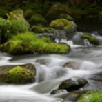 中杉　弘のブログ