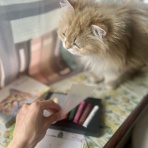 かのんがのん〜毛玉と日々のかけら〜