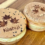 ながおか速報 -新潟県長岡市の地域情報サイト