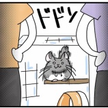 『このお家に引っ越すまでマジで大変でした。』の画像