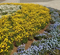 前の更新から１年以上経っちゃいましたけど、もしかしたらまた帰ってくることもあるかもなのでとりあえず。