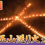 おーい、とらちゃん出番だよ！