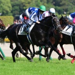 クロミちゃんの競馬日記