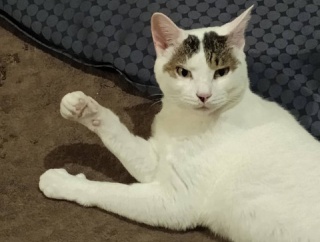 ガソリン安くなった！？と、青空玉つくりました。