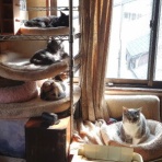 酒とロックな日常