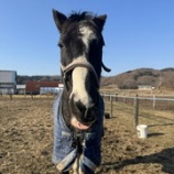 『満足』の画像