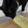 猫も人間も痩せたい今日このごろ・ご飯にっき