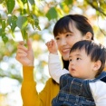 【悲報】3月生まれさん、4月生まれに比べ生涯賃金が１２００万低いことが判明…