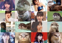 西野七瀬はカワウソだった？！証拠画像がコチラ？！ｗｗｗ【元乃木坂46】