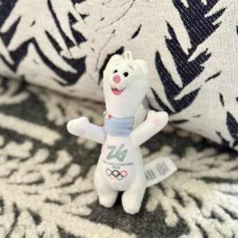 ミラノコルティナ冬季オリンピックが始まった