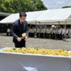 田中良生ブログ