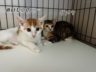 無事帰宅♪