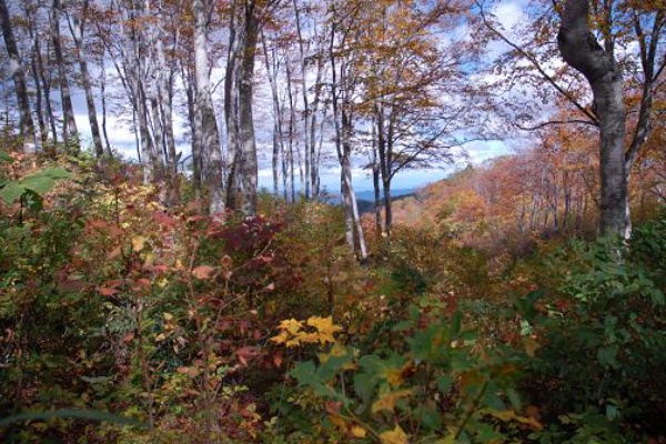 日本の原風景 - 2006年10月