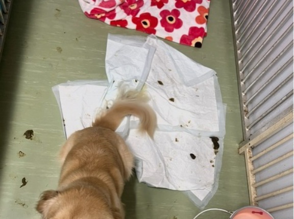 シェルター物語、、、😅💦