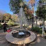 『本日(11月30日)17時に戸田市後谷公園設置のトダイルミが点灯します。点灯は令和8年2月28日まで。点灯式は無いですが、17時前からトダイルミのInstagramなどでライブ配信します。』の画像