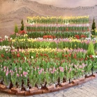 �פ�����ơ֥��������塼��å�🌷 �פȤ��䤹�ߥ��󥰡�Piano Man��