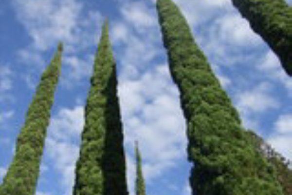 ラガディメニア会報 心の声 アン アンディファンブログ ラガディアン アンディのお店