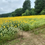 のんべえ函館のブログ