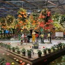 12/21フォーゲルパーククリスマスイベント