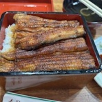 セブンカルチャークラブ武蔵小杉テニススクールSTAFFブログ