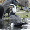 2026年10月2日の野鳥公園
