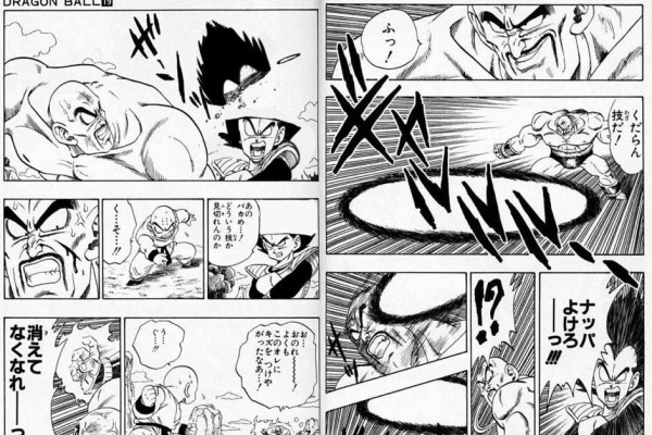 べジータのおもしろ動画 画像 画像