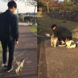 野良猫が人を「集会」にお招きする動画がSNSで話題に！「お招きされたい」「羨ましい」の声相次ぐ