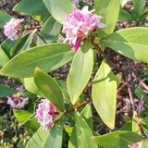 ニュース逆さ読み