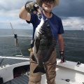 9月5日の釣果