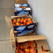 美味しい! 柿の焼き菓子