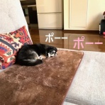 在宅ワークの生活を楽しむ