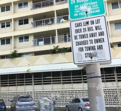 【カイルア】老舗アンティーク店「カイルア・ピッカーズ」で時間が溶ける宝探し体験　どうですか？