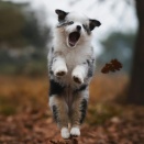 【名言　努力】「努力は裏切るけど、なまけは裏切らない」