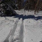 山スキーと藪山逍遥