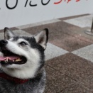 白露のテラサワミックスサンドと鯵塩焼き