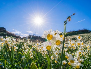 妻「幼稚園で息子がDQNネームの子から、『名前がじじくさい』と言われた」→俺「名前でちょっかい出すのやめてもらえませんか？」相手親「だってしじくさいじゃん？何が悪いの？」