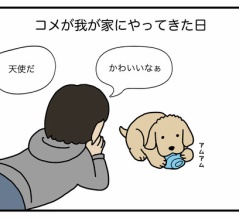 エフ漫画『天才コメ』
