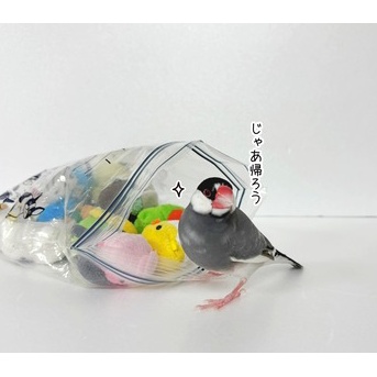 ムニュマムたちの元へ帰るセラ