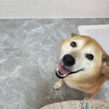 『今を生きている🌈』の画像