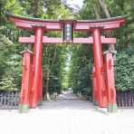 努力の上に花は咲くⅡ