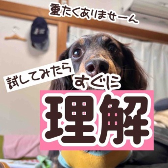 ご意見いろいろとあるでしょうが。