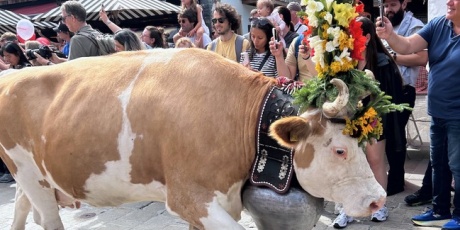 スイスの街角から - 「スイス」 という国