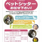 節約生活 in 上海