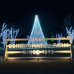 塩原温泉　彩つむぎ　女将の独り言