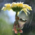 africasi official blog