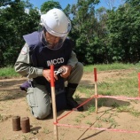 『地雷原』の画像